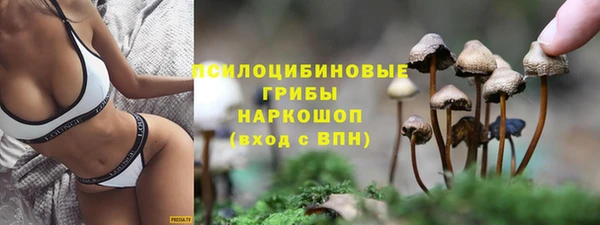 прущие крисы Краснослободск