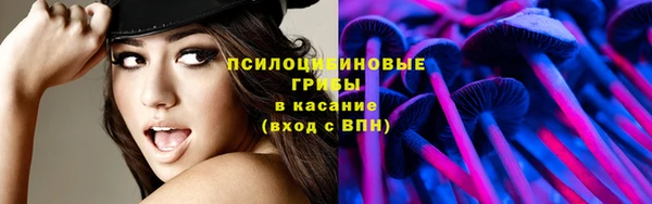 индика Костерёво