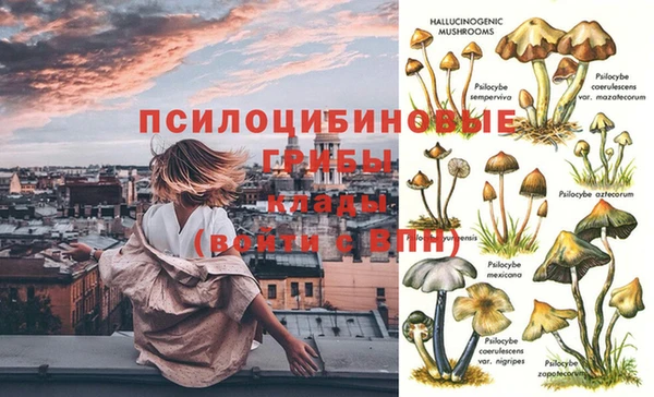 кокаин перу Алексеевка